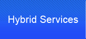 Hybrid Services