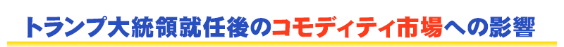 江守氏と2017年の投資戦略について考える！