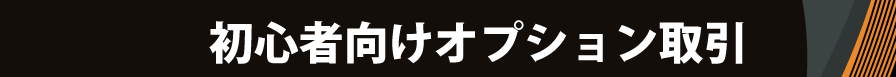 初心者向けオプション取引
