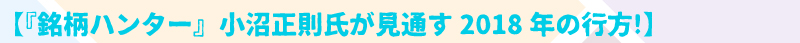 『銘柄ハンター』小沼正則氏が見通す2018年後半の行方！