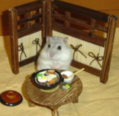 講師画像